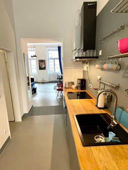 וינה Klimatisierte Sehr Zentrale Wohnung-Loftstyle- מראה חיצוני תמונה